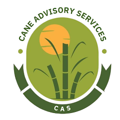 Cane Advisory App